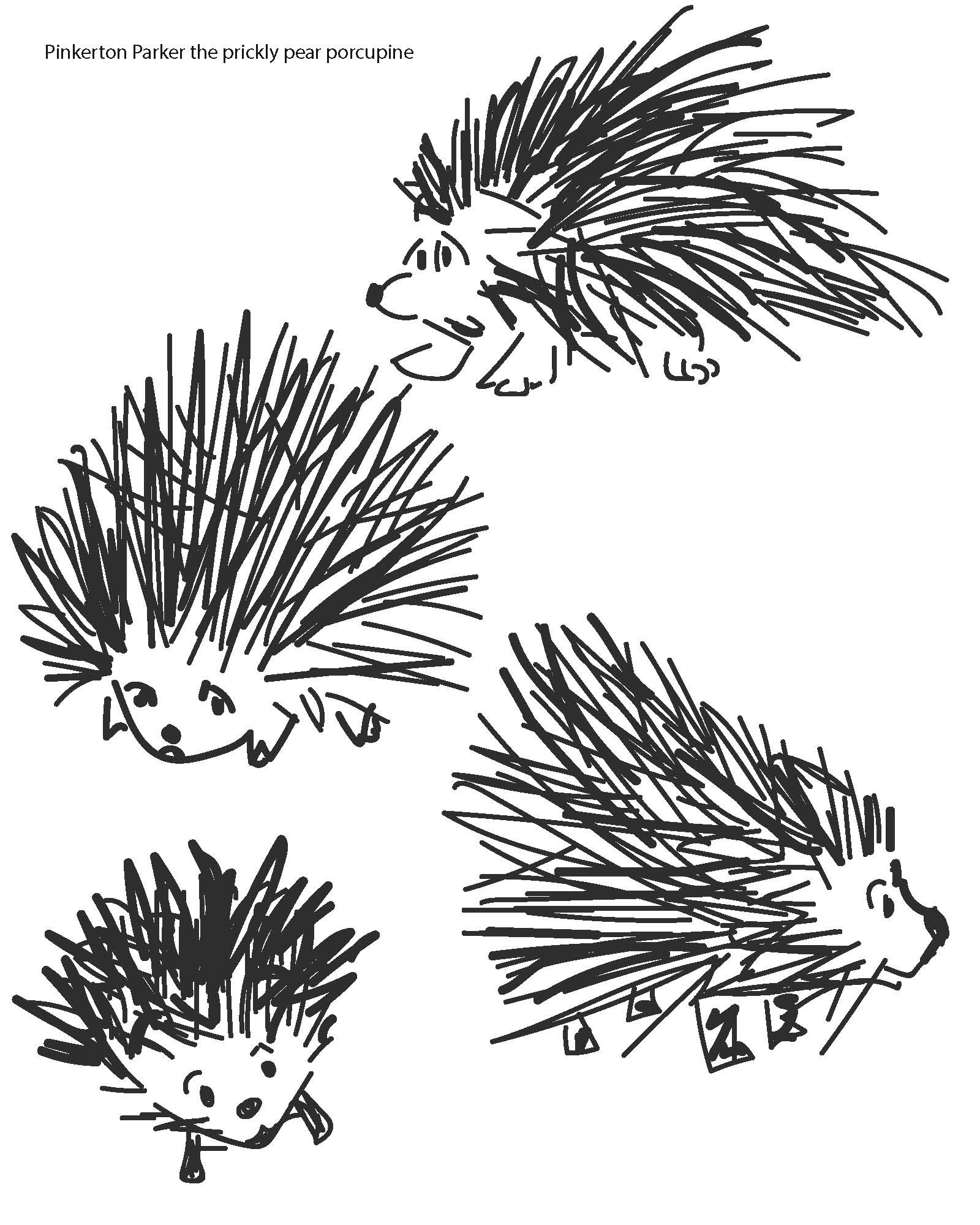 Ink sketches of a porcupine character named Pinkerton Parker in several poses.